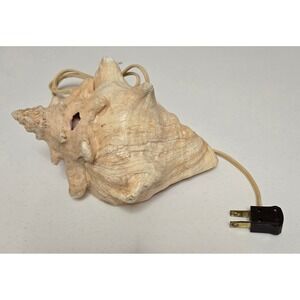 Vintage Nautilus Seashell Accent Lamp Natural Shell Coastal Beach Decor